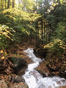 Flume Gorge New Hampshire